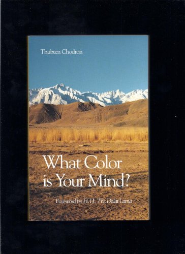 Imagen de archivo de What Color is Your Mind? a la venta por SecondSale