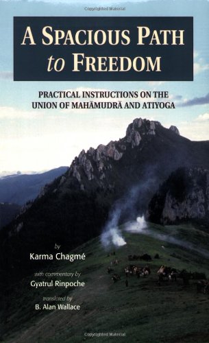 9781559390712: A Spacious Path to Freedom: Practical Instructions on the Union of Mahamudra and Atiyoga