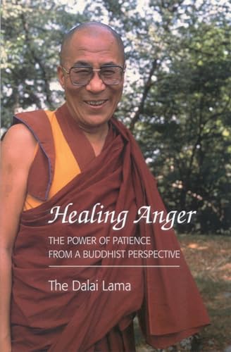 Imagen de archivo de Healing Anger: The Power of Patience from a Buddhist Perspective a la venta por SecondSale