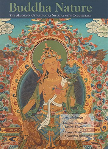 Beispielbild fr Buddha Nature: The Mahayana Uttaratantra Shastra with Commentary zum Verkauf von Time Tested Books