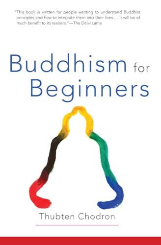 Stock image for Buddhism for Beginners for sale by SecondSale