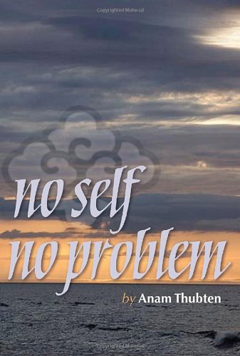 Beispielbild fr No Self No Problem: Awakening to Our True Nature zum Verkauf von Jenson Books Inc