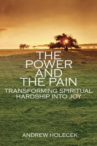 Imagen de archivo de The Power and the Pain: Transforming Spiritual Hardship into Joy a la venta por BooksRun