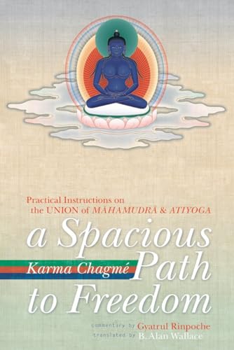 Beispielbild fr A Spacious Path to Freedom: Practical Instructions on the Union of Mahamudra and Atiyoga zum Verkauf von Roundabout Books