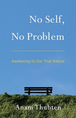 Stock image for No Self, No Problem: Awakening to Our True Nature for sale by Goodwill of Colorado