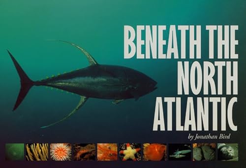Stock image for Beneath the North Atlantic for sale by WorldofBooks