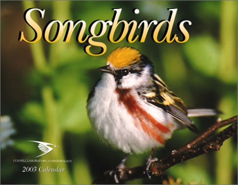 Songbirds 2003 Calendar (9781559497114) by [???]