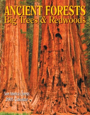 Ancient Forests 2005 Calendar: Big Trees & Redwoods : Save America's Forests (9781559499101) by Larry Ulrich