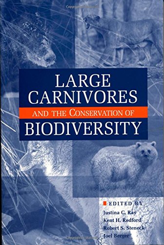 Imagen de archivo de Large Carnivores and the Conservation of Biodiversity a la venta por Yes Books