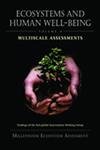 Stock image for Ecosystems and Human Well-Being: Multiscale Assessments: Findings of the Sub-Global Assessments Working Group for sale by ThriftBooks-Dallas