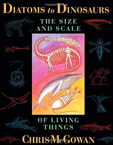 Stock image for Diatoms to Dinosaurs: The Size and Scale of Living Things for sale by Wonder Book