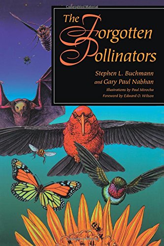 The Forgotten Pollinators (9781559633536) by Buchmann, Stephen L.; Nabhan, Gary Paul