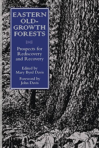 Imagen de archivo de Eastern Old-Growth Forests : Prospects for Rediscovery and Recovery a la venta por Better World Books