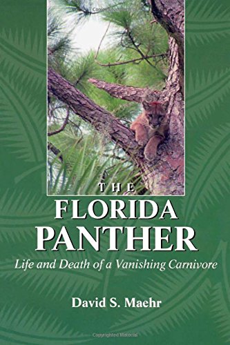 Florida Panther, P! - Maehr, David S