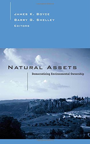 Imagen de archivo de Natural Assets : Democratizing Ownership of Nature a la venta por Better World Books