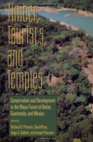 9781559635424: Timber, Tourists, and Temples: Conservation And Development In The Maya Forest Of Belize Guatemala And Mexico