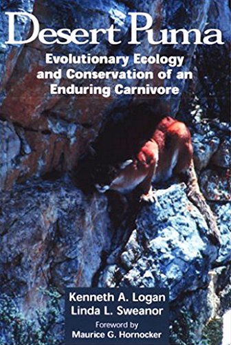 Stock image for Desert Puma: Evolutionary Ecology And Conservation Of An Enduring Carnivore for sale by GF Books, Inc.