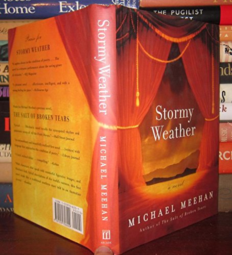 Stormy Weather: A Novel (9781559706209) by Meehan, Michael