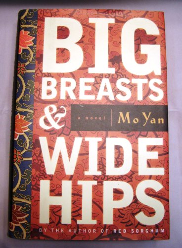 9781559706728: Big Breasts & Wide Hips: A Novel