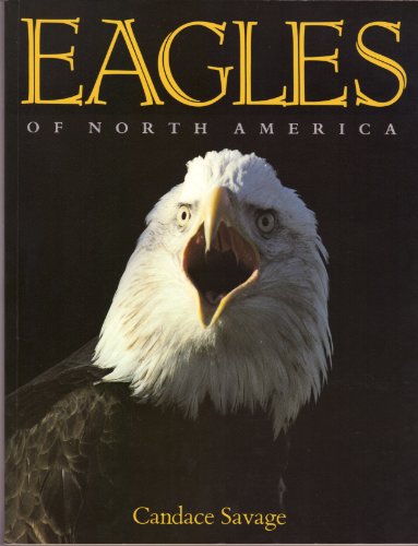 Stock image for Eagles of North America for sale by HPB-Ruby