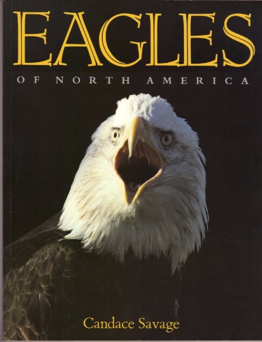 Stock image for Eagles of North America for sale by Wonder Book