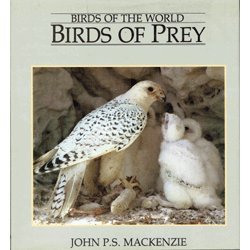 Stock image for Birds of Prey (Birds of the World Ser.) for sale by HPB-Emerald