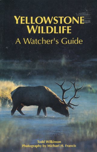 Stock image for Yellowstone Wildlife: A Watcher's Guide for sale by ThriftBooks-Dallas