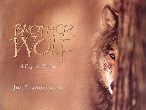 Stock image for Brother Wolf: A Forgotten Promise for sale by SecondSale