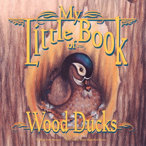9781559714679: My Little Book of Wood Ducks
