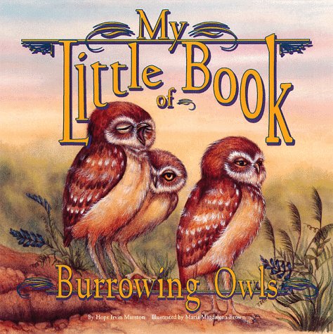 9781559715478: My Little Book of Burrowing Owls