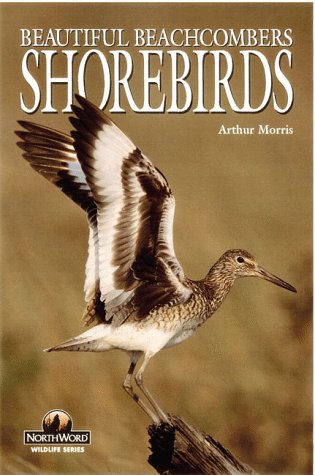 Beispielbild fr Shorebirds : Beautiful Beachcombers zum Verkauf von Better World Books