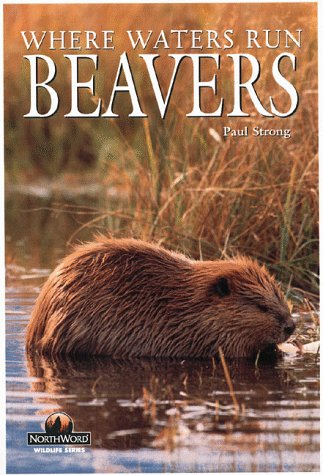 Imagen de archivo de Beavers: Where Waters Run (Northword Wildlife Series) a la venta por Books From California