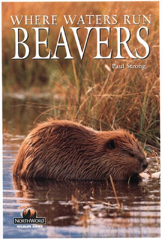 9781559715805: Beavers: Where Waters Run (Northword wildlife series)