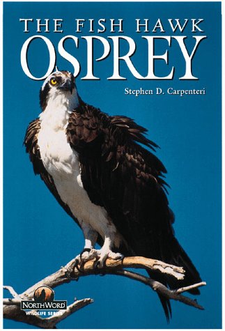 Stock image for The Fish Hawk: Osprey (Northword Wildlife Series) for sale by SecondSale