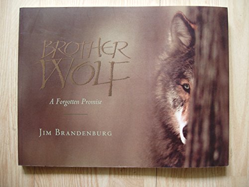 Beispielbild fr Brother Wolf zum Verkauf von SecondSale