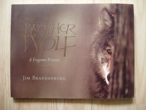 Stock image for Brother Wolf for sale by Ravin Books
