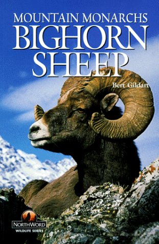 9781559716413: Bighorn Sheep: Mountain Monarchs