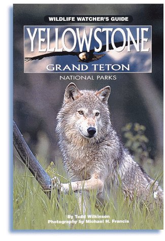 Beispielbild fr Yellowstone and Grand Teton National Parks : Wildlife Watcher's Guide zum Verkauf von Better World Books