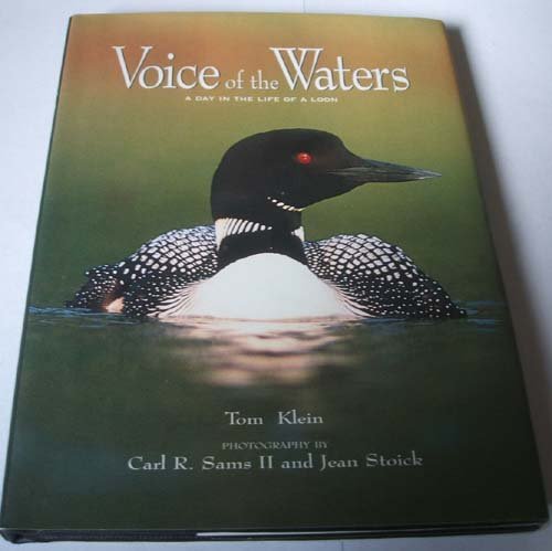 Stock image for Voice of the Waters: A Day in the Life of a Loon for sale by WorldofBooks