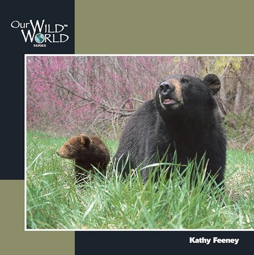 9781559717427: Black Bears (Our Wild World)