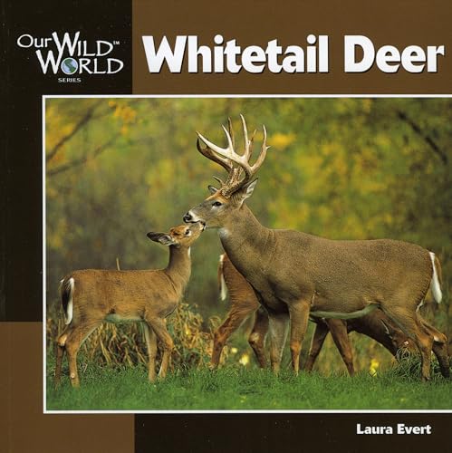 Beispielbild fr Whitetail Deer (Our Wild World) zum Verkauf von Wonder Book