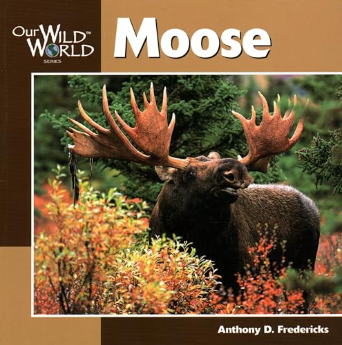 9781559717441: Moose (Our Wild World)