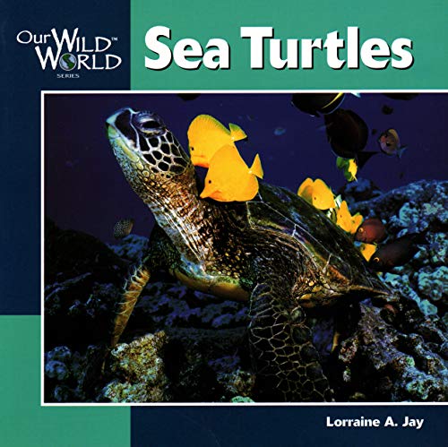 Beispielbild fr Sea Turtles (Our Wild World) zum Verkauf von Orion Tech