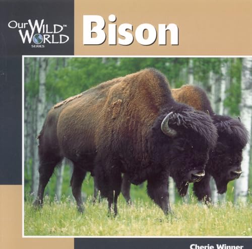 Stock image for Bison for sale by Kennys Bookshop and Art Galleries Ltd.