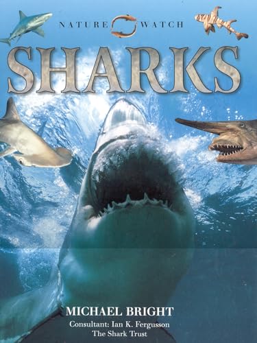 Stock image for Sharks for sale by Better World Books: West