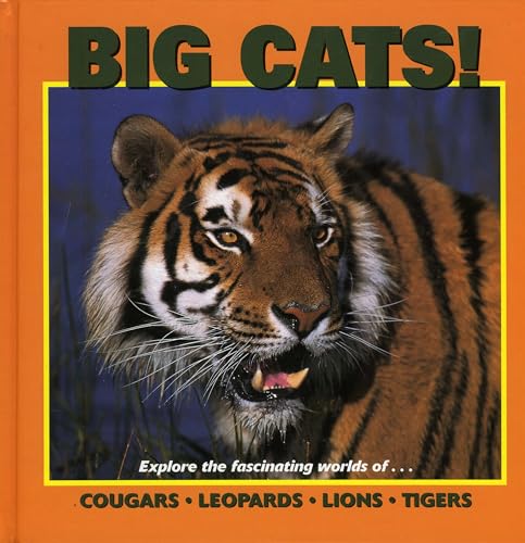 Imagen de archivo de Big Cats: Exploring the Fascinating World of Tigers, Lions, Cougars and Leopards (Our Wild World Series) a la venta por Reuseabook