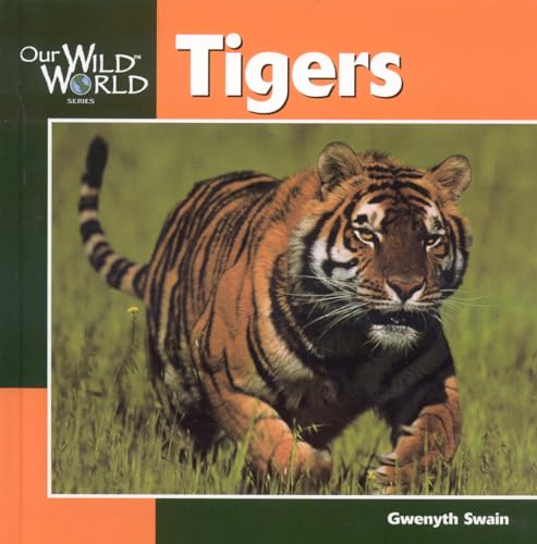 9781559718080: Tigers (Our Wild World)
