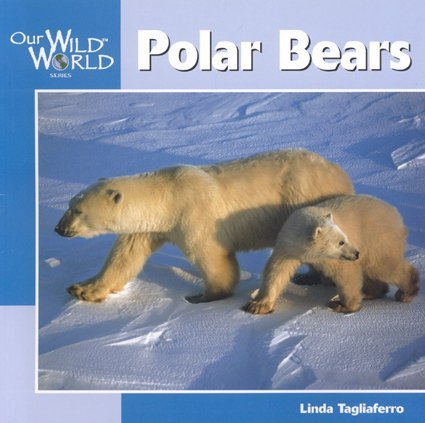 Stock image for Polar Bears (Our Wild World) for sale by Wonder Book