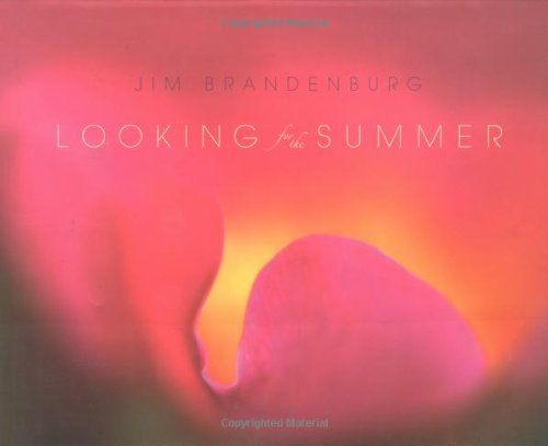 9781559718387: Looking for the Summer: A 94-Day Journey