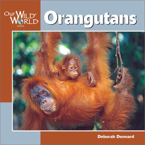 Beispielbild fr Orangutans zum Verkauf von ThriftBooks-Dallas